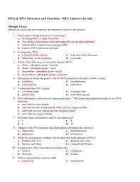 Dna And Rna Structure Worksheet Answer Key A Dna And Rna Structure Worksheet Answer Key Is Dna Worksheet Biology Worksheet Dna Transcription And Translation
