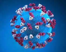 You may start to notice symptoms 2 to 14 days after you're exposed to the virus. Coronavirus How Risky Is A Stay In Hotels