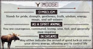 What Does A Moose Symbolize As A Spirit Animal Meaning Of Antlers Dream Interpretation Significance Spirit Animal Spirit Animal Totem Animal Spirit Guides
