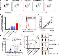 Check spelling or type a new query. A Bi Adjuvant Nanovaccine That Potentiates Immunogenicity Of Neoantigen For Combination Immunotherapy Of Colorectal Cancer Science Advances