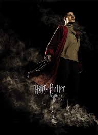 We did not find results for: Harry Potter And The Goblet Of Fire 2005 Poster Fr 623 623px