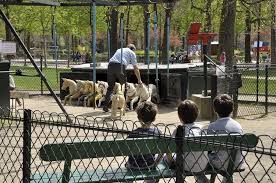 Les 11 Tresors Oublies De Paris Paris Insolites Paris Insolite