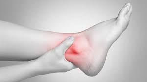 Lebih lengkapnya simaklah materi fungsi tulang jari kaki, pengertian, jenis, dan gambar di bawah ini. Fungsi Mata Kaki Tumit Dan Telapak Kaki Yang Jarang Diketahui