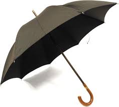 ブリッグ の 傘