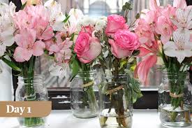 Check spelling or type a new query. Which Flower Food Mixture Works The Best For Fresh Flowers Enjoy Flowers Blog
