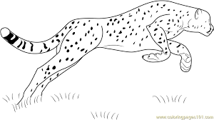 We did not find results for: Running Cheetah Coloring Page Free Coloring Library