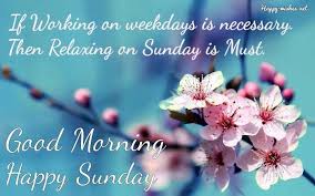 Good morning sunday wishes messages. Love Beautiful Good Morning Images To Tackle Each Day Of The Week Blessed Sunday Morning Good Morning Happy Sunday Good Morning Wishes