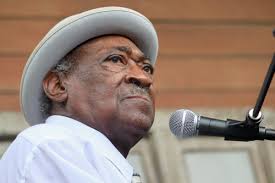 Chicago Blues Festival 2010 photos by James Walker