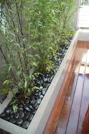 While just about anything can grow well in dryer climates, you may want to steer towards landscapes without grass to save water. How To Plant Bamboo Houzz