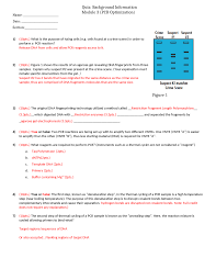 Dna polymerase adds complementary bases in the 5' to 3' direction to form the leading strand. What Is The Purpose Of Pcr Labster Quizlet