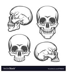 Side Skull Drawing Sideskulldrawing Skulls Drawing Skull Drawing Skull