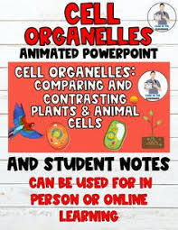 We did not find results for: 12 Cells Ideas Cell Cell Organelles Organelles
