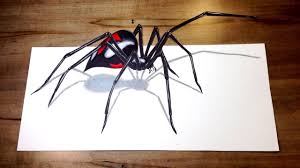 #work adventures #spiders #black widow spider #they're beautiful and i'd rather not kill them #but they're also venomous and i have coworkers to the black widow is known as being a deadly spider, but the truth is that less than 1% of bites actually result in death. Will It Bite Black Widow Challenge 3d Spider Drawing Trick Art