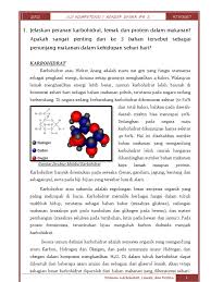 Protein pengertian fungsi sumber manfaat unsur struktur. Peranan Karbohidrat Lemak Protein