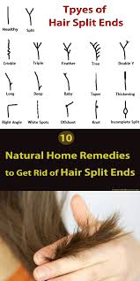 10 Natural Home Remedies To Get Rid Of Split Ends With Images Split Hair Hair Remedies Long Hair Styles