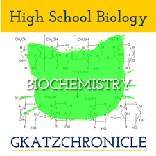 Answers for worksheets in this section can be found at the end of each individual worksheet. Biochemistry Worksheet Teachers Pay Teachers