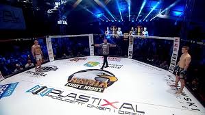 Dawid kareciński zwycięża decyzja sędziów 💥💥. Armia Fight Night Sport Ogladaj Przez Internet Na Ipla Tv