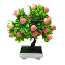 Alibaba.com offers 21,762 wedding garden products. Wholesale Beautiful Bonsai Buy Cheap In Bulk From China Suppliers With Coupon Dhgate Com