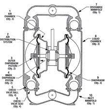 Parameters will fall in the center. Wilden Pump Parts List Wilden Diaphragm Pump M2 Sg Fg Fg Sb Air Operated Pumps Pump Engineers Nz Ltd And Wilden Ram Boiu