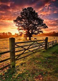Frosty Autumn Sunrise Beautiful Landscapes Beautiful Nature Landscape