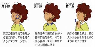 唾液を増やす唾液腺マッサージを 唾液と唾液の働きについて