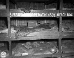 Buchenwald's Liberation, as Seen by Louis Nemeth