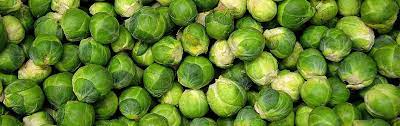 The traditional lunch consists of roast turkey with vegetables, followed by christmas pudding, which is made with dried fruit and brandy. The Vegetables Of Christmas Future