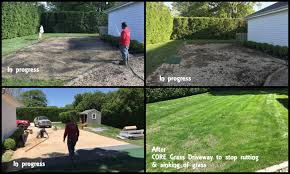 grass parking area home improvement