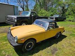 Image result for Snapdragon Yellow 1979 MG
