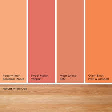 Our orange paint colors come in a variety of warm to cool orange tones. Orange Peach Paint Colors Novocom Top