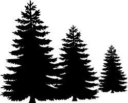 Pine Tree Clip Art Pine Cones Illustration Free Stock Clipartix Pine Tree Silhouette Pine Tree Art Silhouette Painting