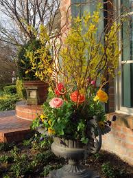 Forsythia Ranunculus Pansies In A Pot Spring Planter Flower Planters Garden Containers