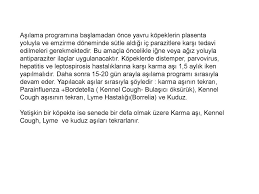 Atlar Icin Asilama Takvimi Ppt Indir