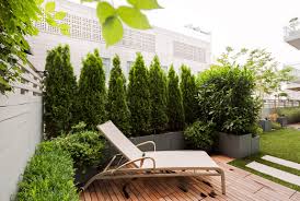 La scelta della siepe fiorita ricade quasi sempre nei gusti personali di chi sceglie o nella particolare struttura del giardino o della casa. Come Realizzare Una Splendida Siepe Da Balcone