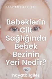 bebeklerin cilt sagliginda bebek bezinin yeri nedir hayat bilgileri bebek bebek bezi saglik