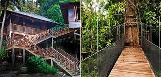 Situated 50 metres from gaya island, the venue offers a hot tub. Bunga Raya Island Resort Spa In Kota Kinabalu Luxury Tree Houses Tree House Tree House Designs