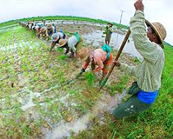 Myanmar The Rural Urban Divide Myanmar Insider