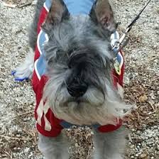 Terri Loth (terriloth)