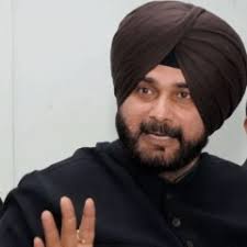 Kane Williamson predicts Umran Malik's future with Team India