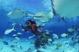 Top pulau tioman scuba & snorkeling activities: Johor 3d2n Aman Tioman Resort Snorkeling Package Ferry Transfer And More Discount Offer Promotion Weekendgowhere