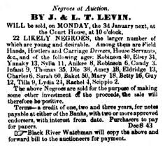 African American Slavery