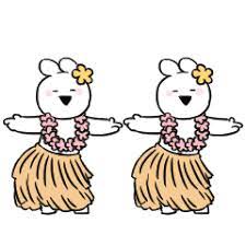 すこぶる動くウサギ 常夏 ウサギ すこぶる動くうさぎ かわいいウサギ