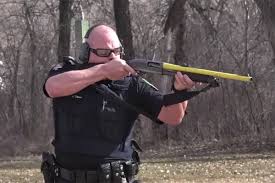 Suspected Car Thief Bean Bagged By Abbotsford Police For Resisting Arrest Abbotsford News