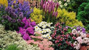 Public gardens with large perennial borders, keep their staff gardeners busy all summer long, filling gaps with fresh plants from their greenhouses and nursery areas. Small Perennial Garden Layout Youtube
