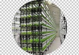The advances in led technology have made it possible to create the perfect environment to grow vegetables at a large scale with shorter growing cycles and higher yields. Hydroponics Grow Light Vertical Farming Greenhouse Agriculture Png Clipart Agriculture Farm Fullspectrum Light Garden Gardening Free