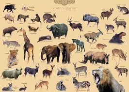 Animal list of african wildlife and its beautiful dangerous wild animal safaris. Animal And The Partner African Safari Wildlife Park African Safari Animals List Animals List Of Animals Buzzfeed Animals