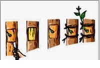 We did not find results for: Teknik Okulasi Penempelan Mata Tunas Untuk Perbanyakan Tanaman Rumah Petani