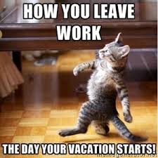 How You Leave Work The Day Your Vacation Starts Walking Cat Funny Cat Memes Animal Memes Animals