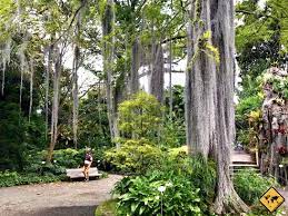 Find your dream vacation home now! Botanische Garten Auf Teneriffa Top 5 Unaufschiebbar De