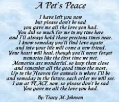 Reasons for having to say goodbye to a friend are numerous, and differ for each person. Pet Grief Poems